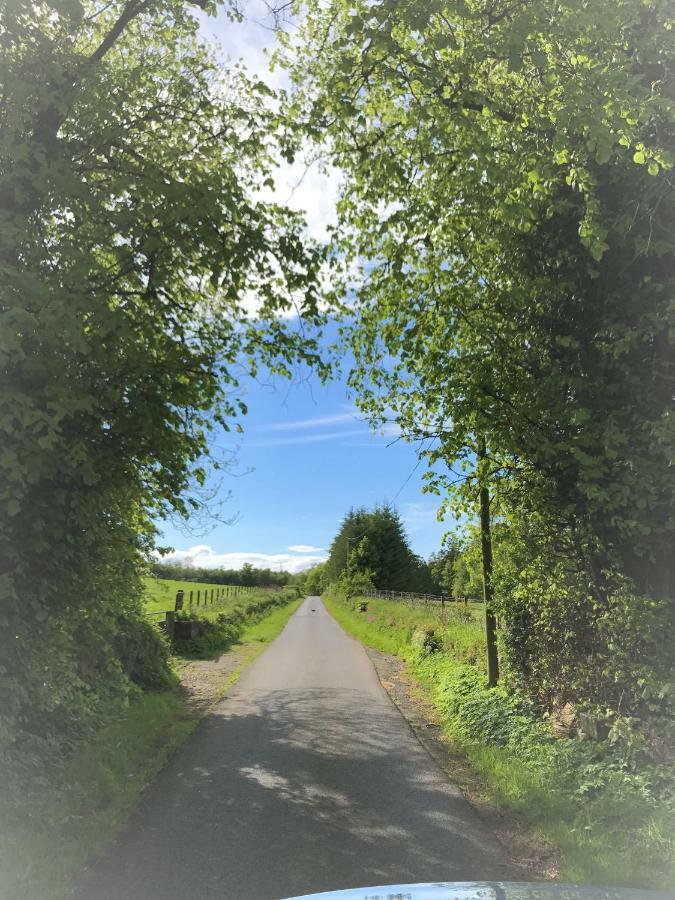 Carnell Country Estate & Holiday Cottages In Ayrshire Hurlford Exteriör bild